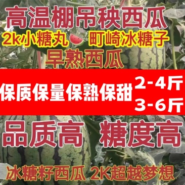 2k小吊瓜，L600西瓜，潍坊吊瓜，小西瓜，小糖丸吊瓜！