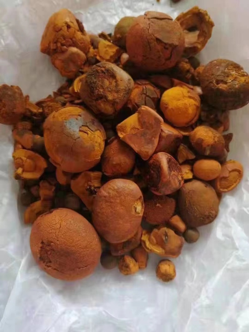 天然牛黄：屠宰场供应