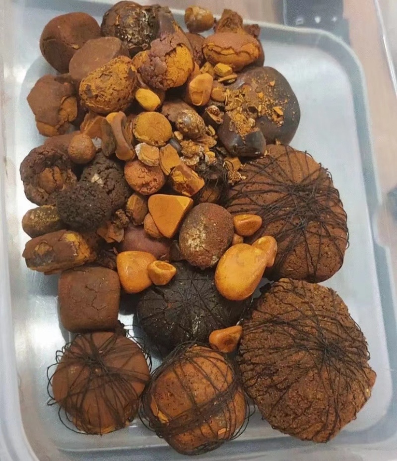 天然牛黄：屠宰场供应