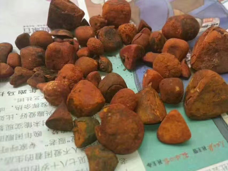 天然牛黄：屠宰场供应