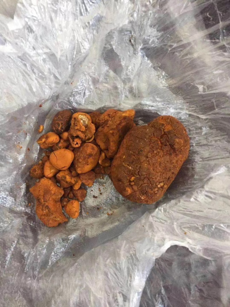 天然牛黄：屠宰场供应