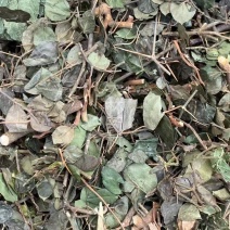 绣花针【包邮】三斤起发货可批量可零售量大从优