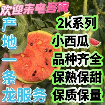 小糖丸小吊瓜，2k西瓜，小糖丸吊瓜，早春红玉西瓜，保熟甜