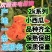 小糖丸小吊瓜，2k西瓜，小糖丸吊瓜，早春红玉西瓜，保熟甜