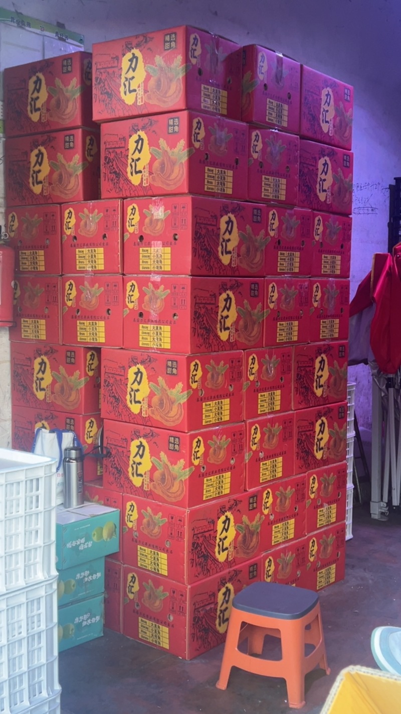 泰国进口干酸角甜角现货批发欢迎订购酸甜角都有