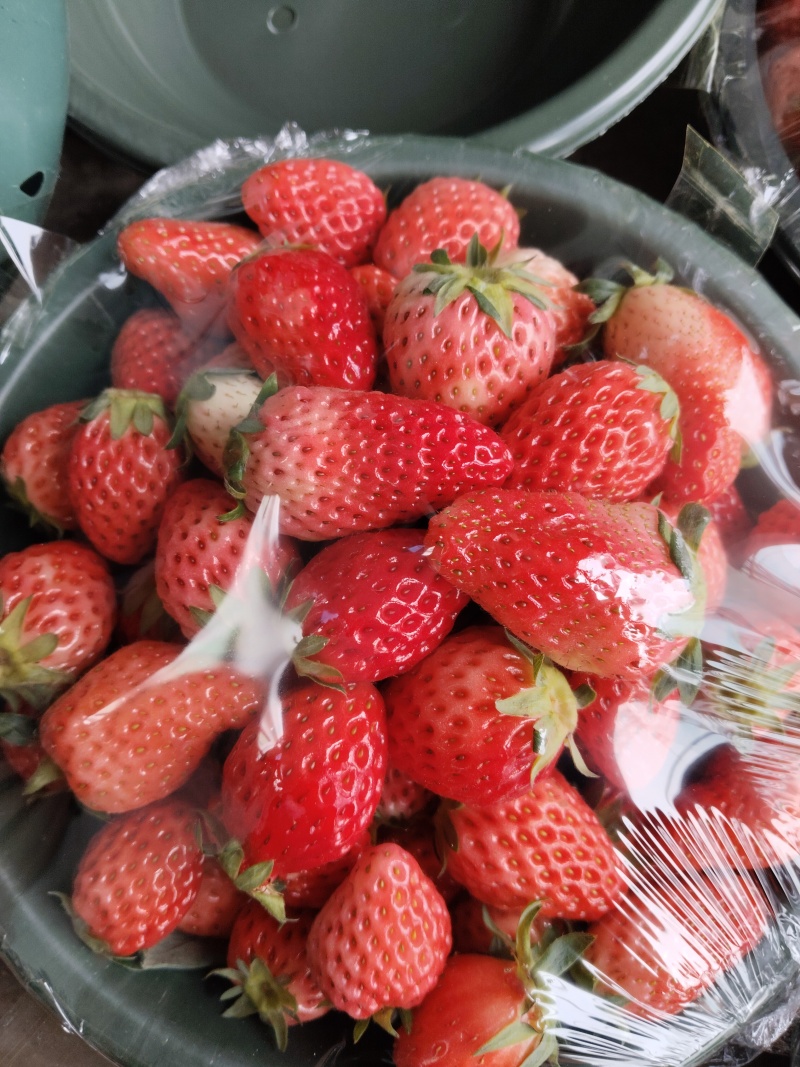 草莓