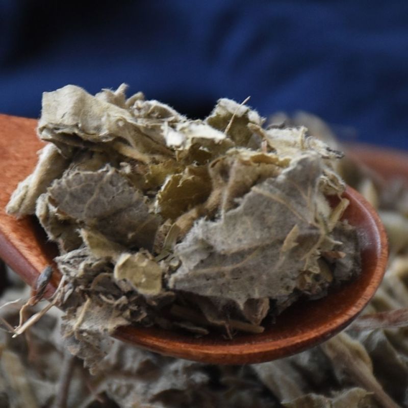 寻骨风好通货各种冷背中药材量大优惠
