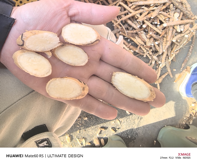 野生牛大力大叶黄牛干片成品牛大力手工成品干片