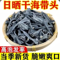 海带短头干海带头产地一手货源量大从优欢迎咨询考察