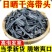 海带短头干海带头产地一手货源量大从优欢迎咨询考察