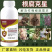 根腐克星鱼蛋白水溶肥含微生物菌剂防治根腐根肿沤根烂根