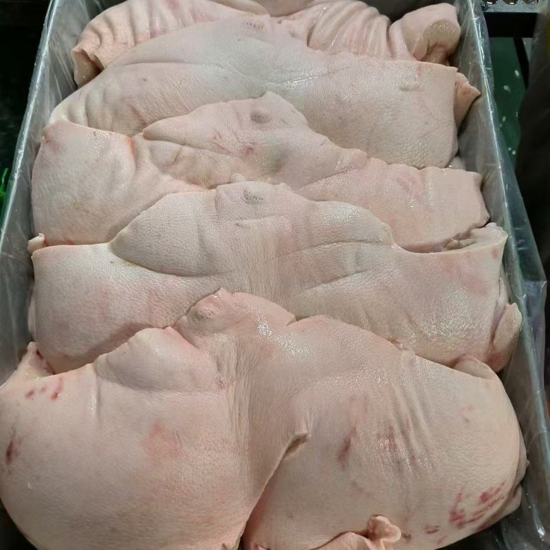 母猪带皮槽头