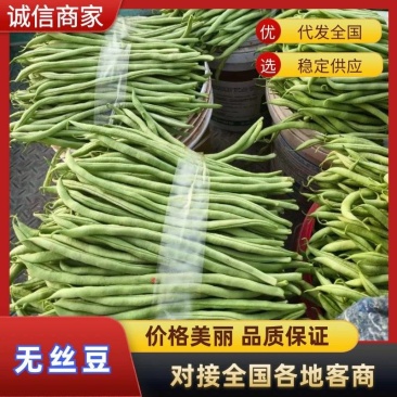 产地无丝豆大量供货超市货电商货，市场货都有可以长期供货