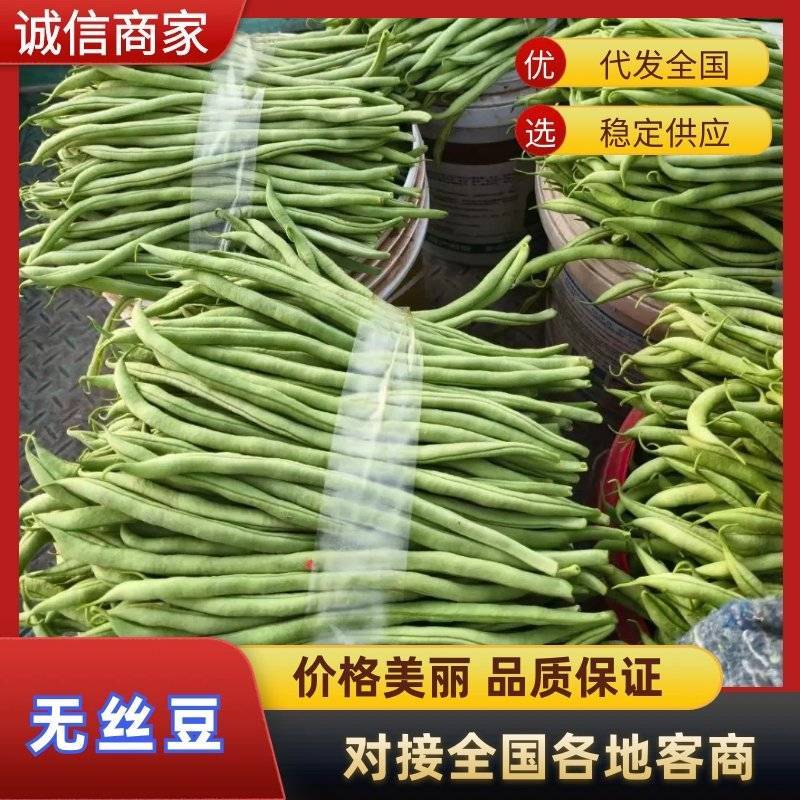 产地无丝豆大量供货超市货电商货，市场货都有可以长期供货