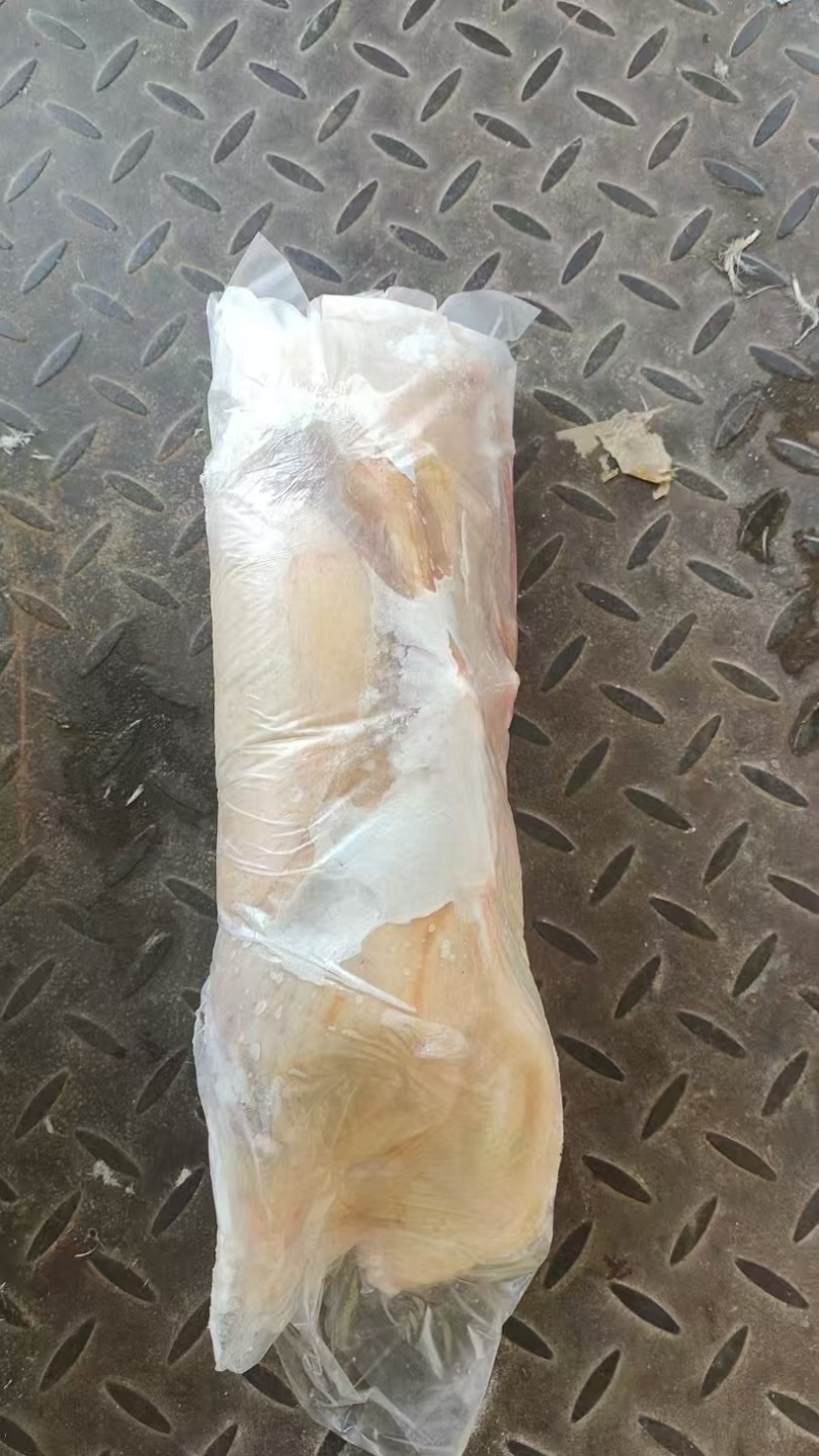 白条鸭