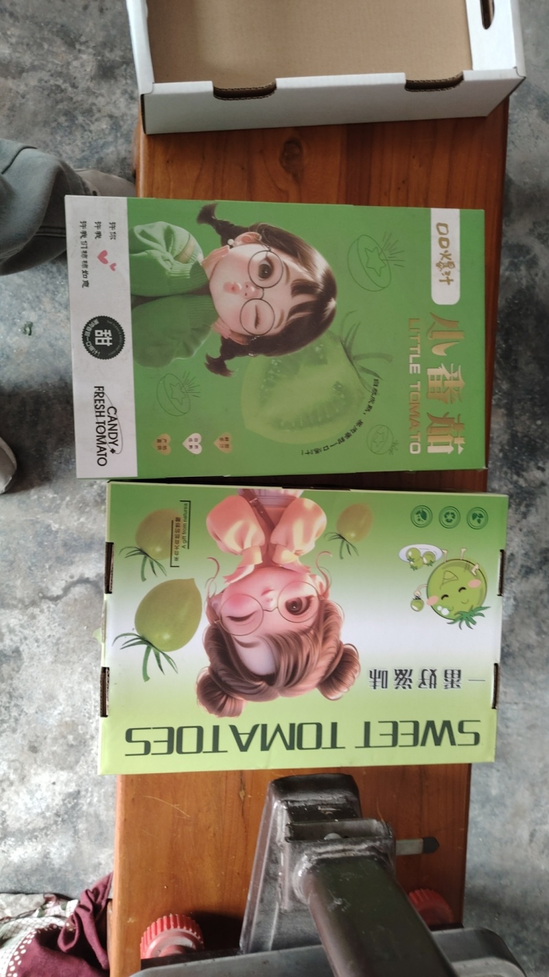 多色精品圣女果礼盒，产地直发，大量有货，可视频看货