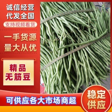 四川，精品，豆角王，无丝豆，每天供货2～6万斤