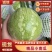 【火热推荐】四川精品小南瓜，嫩南瓜，翡翠南瓜，绿皮小南瓜