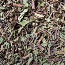 猫须草【包邮】三斤起发货可批量可零售量大从优