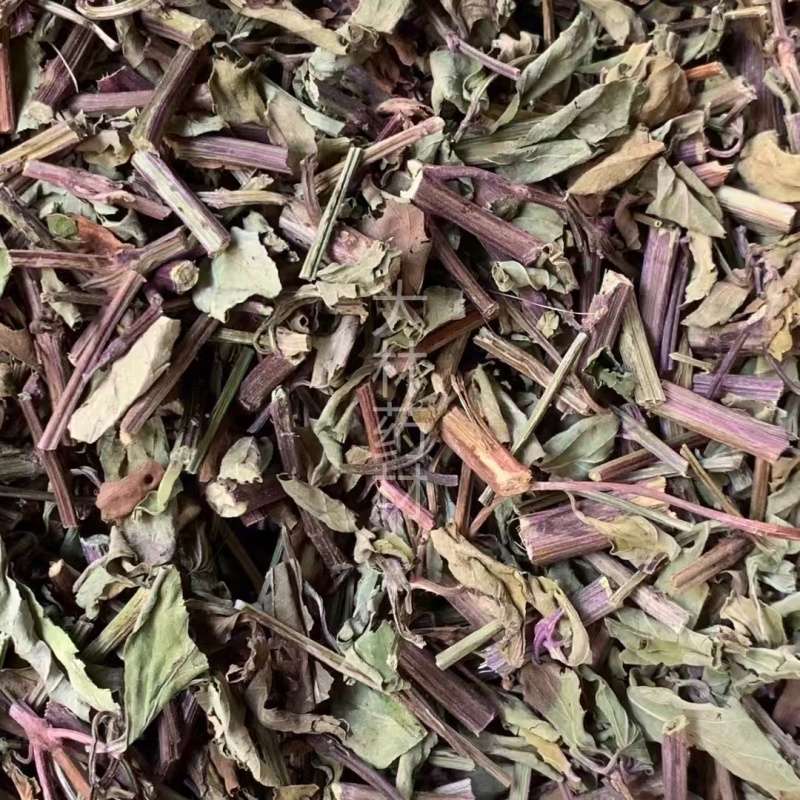 猫须草【包邮】三斤起发货可批量可零售量大从优
