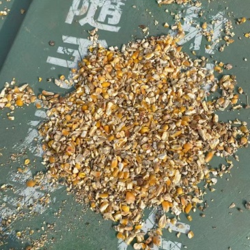 碎玉米饲料原料适用于鸡鸭鹅等家禽养殖使用