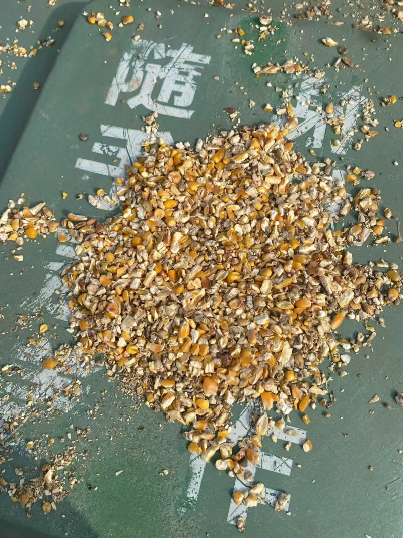 碎玉米；饲料原料；适用于鸡鸭鹅家禽养殖等