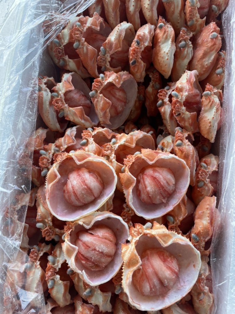 蟹宝、蟹肉、螃蟹