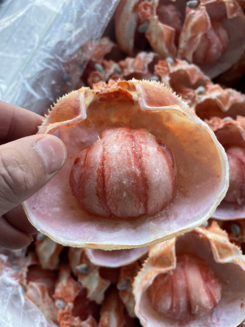 蟹宝、蟹肉、螃蟹