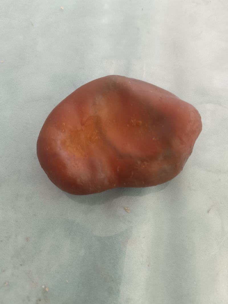 鸡宝