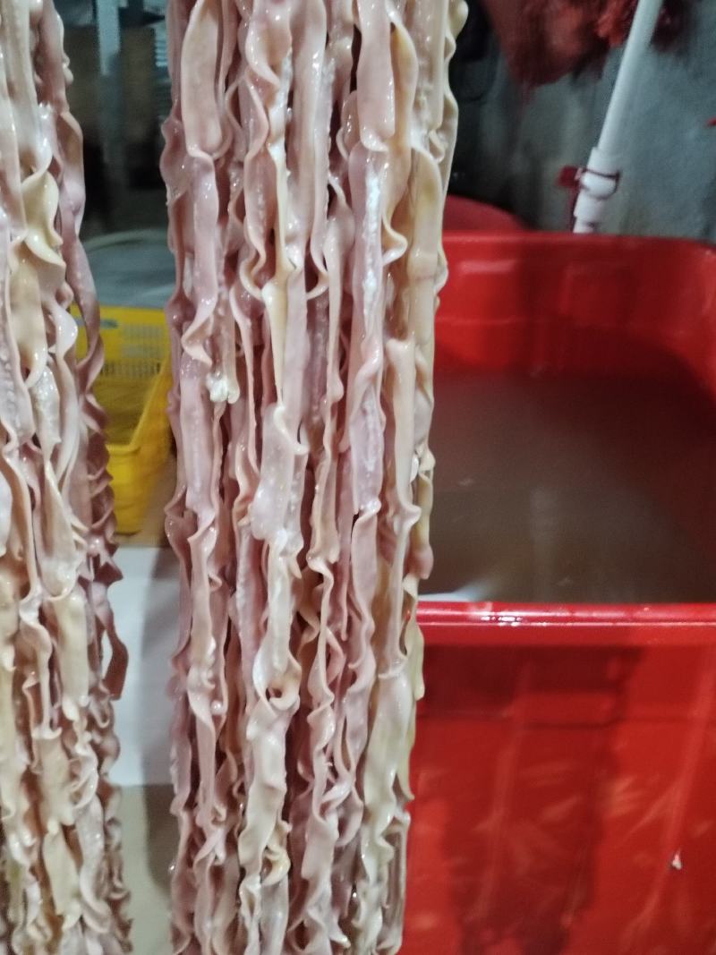 鲜鸭肠常年有货