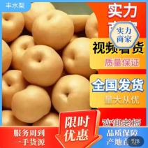 丰水梨常年供应无痕一件代发电商直播带货多多仓美团仓市场