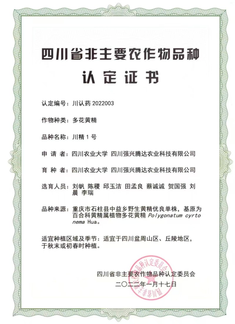 川精1号黄精芽苗包技术包回收