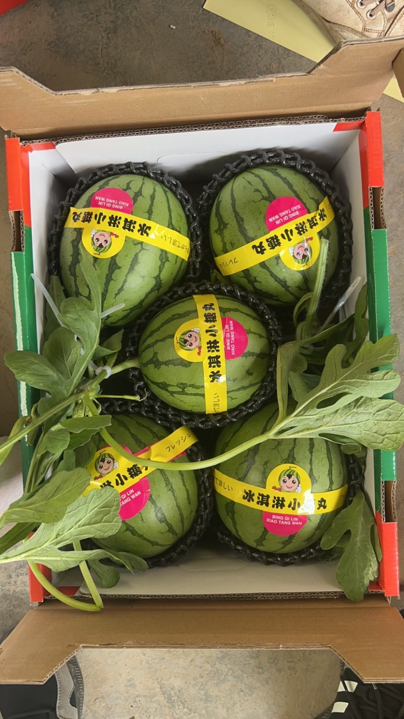 【精品】早春红玉全美2K小糖丸西市场商超大量现货