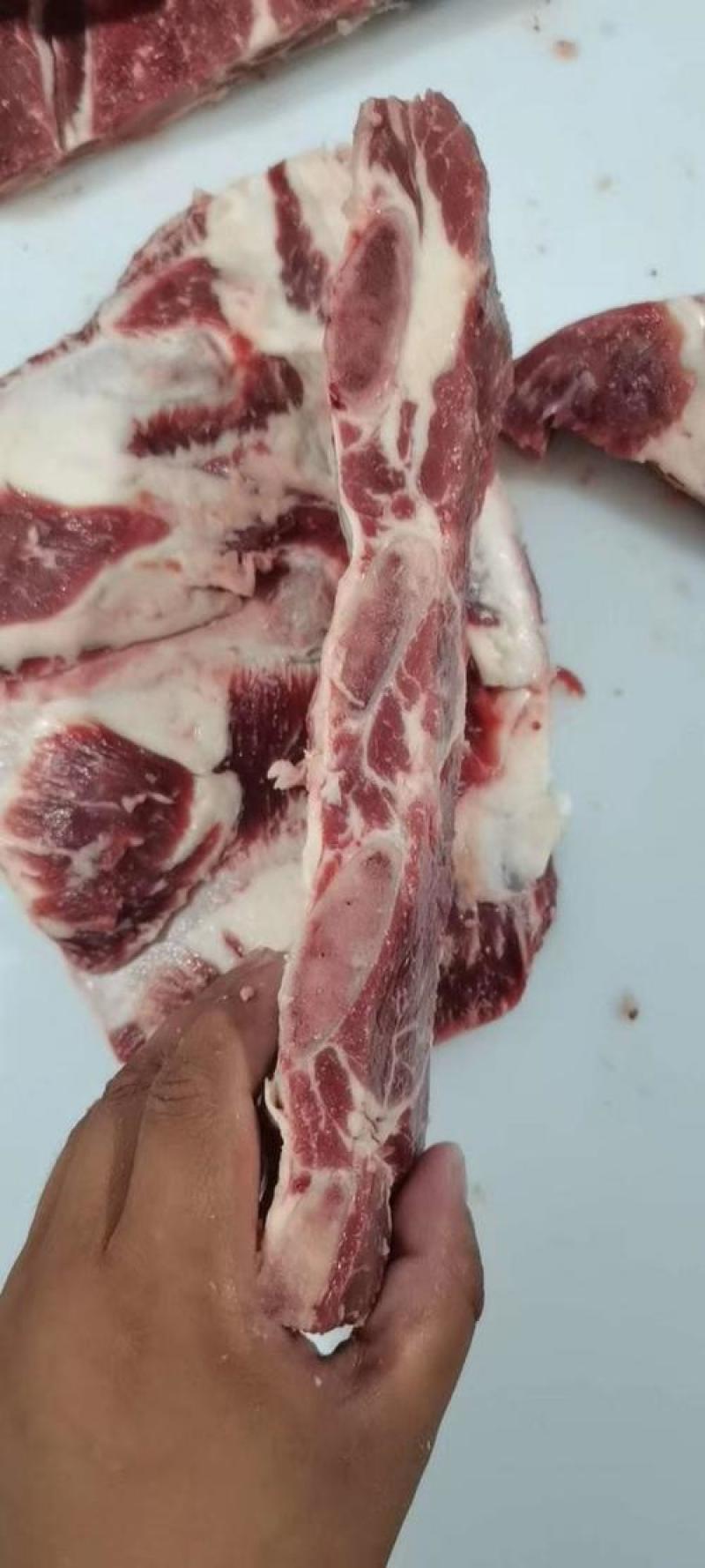 牛光排，一手货源，实力牛商，价格便宜，欢迎咨询