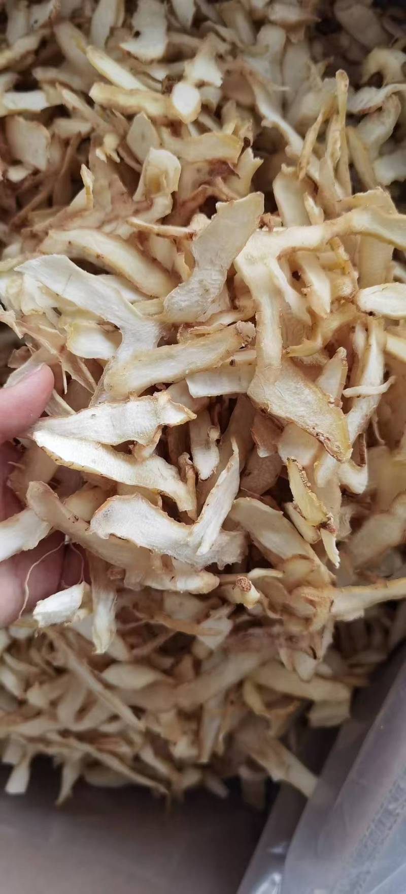 玉竹片批发玉竹规格齐全可供实体店零售批发产地货源