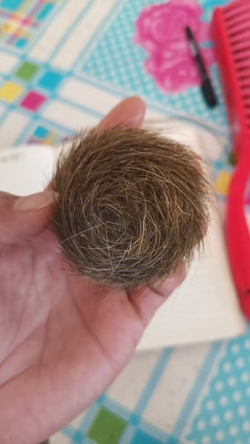 猪辰砂俗称猪砂猪宝，重110克X一万八一克出售，支持所有