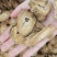 牛蒡批发牛蒡茶规格齐全可供实体店量大价优