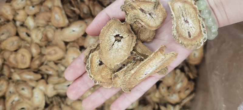 牛蒡批发牛蒡茶规格齐全可供实体店量大价优