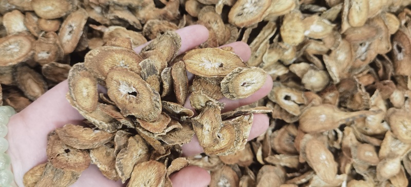牛蒡批发牛蒡茶规格齐全可供实体店量大价优