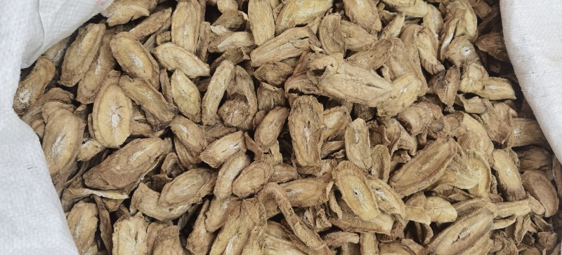 牛蒡批发牛蒡茶规格齐全可供实体店量大价优