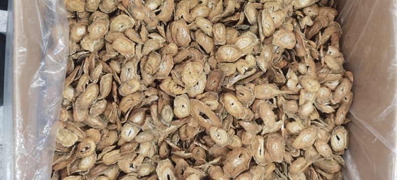 牛蒡批发牛蒡茶规格齐全可供实体店量大价优
