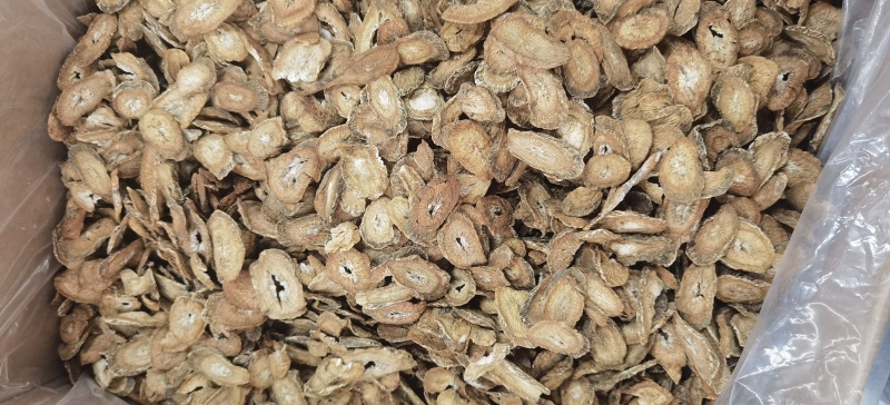 牛蒡批发牛蒡茶规格齐全可供实体店量大价优