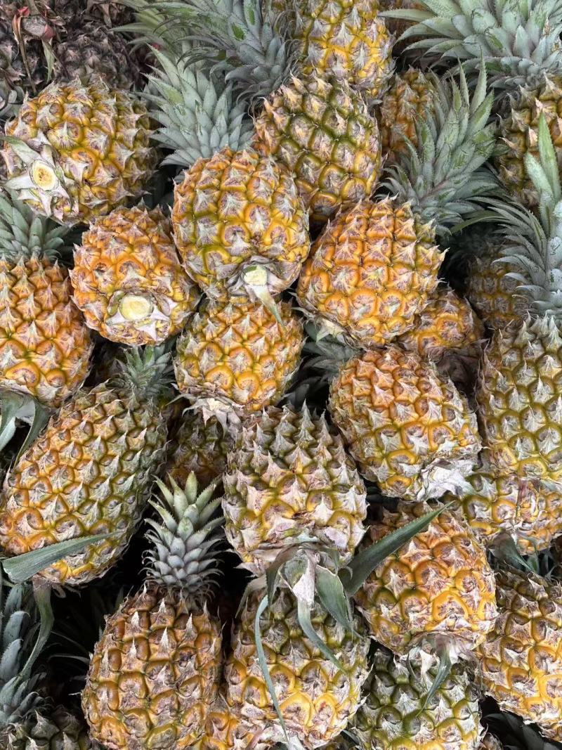 菠萝