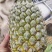 菠萝