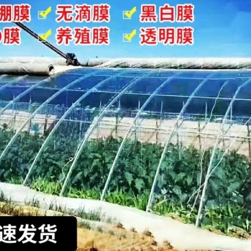 水晶po膜精品大棚膜高品质农膜保温性高透光度好