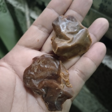 十年风干鸡宝