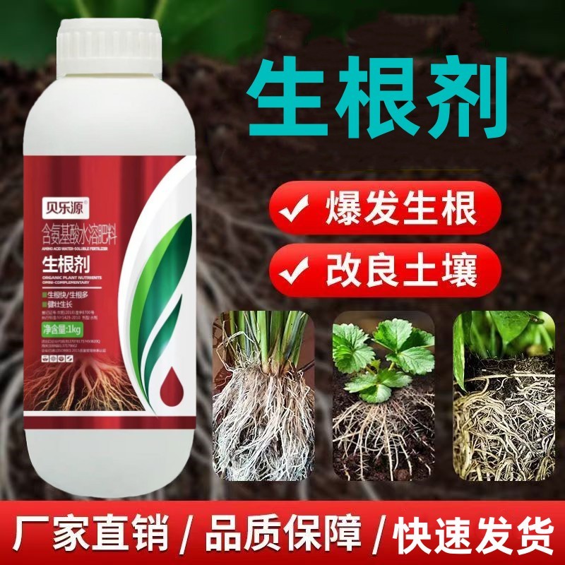 生根剂生根液促根壮苗养根护苗果树蔬菜花卉中药材
