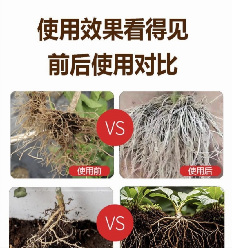 生根剂生根液促根壮苗养根护苗果树蔬菜花卉中药材