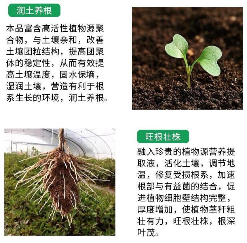 生根剂生根液促根壮苗养根护苗果树蔬菜花卉中药材