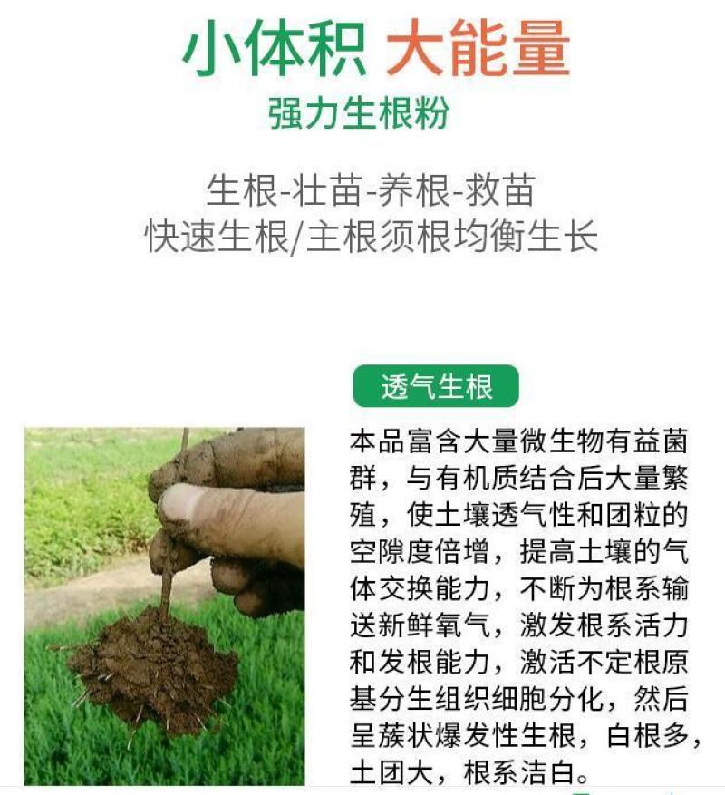 生根剂生根液促根壮苗养根护苗果树蔬菜花卉中药材